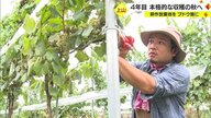 “託された”土地を使って真摯なブドウ作りを　担い手がいなくなった水田や畑を再生【山形発】