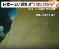 “3億年前の世界”を撮影　大分の「稲積水中鍾乳洞」で潜水調査　水深97.4mの地点まで到達「とても感動」