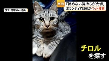 地震後にいなくなってしまった愛猫・チロル　「早く見つけてあげたい」　被災地で続くペットの捜索　令和8年熊本地震