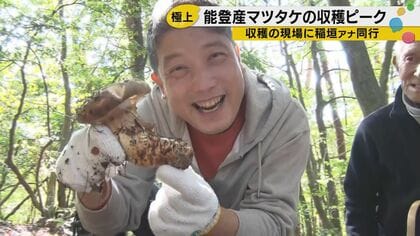 採れたて焼きマツタケは「ゴリンゴリン」！能登の山奥で味わう至福、その香りが届けられないのが残念すぎる