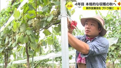 “託された”土地を使って真摯なブドウ作りを　担い手がいなくなった水田や畑を再生【山形発】