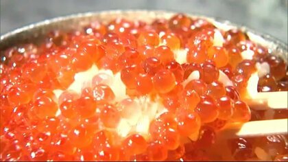 北海道の秋の味覚に異変　「イクラ」記録的不漁で筋子の値段は前年の2倍に…一方で大漁の魚も