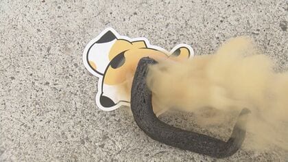 衝撃の花火「ねこのうんち」お尻からモリモリ…実はおふざけだけじゃない 意外な“開発秘話”とは【愛知発】