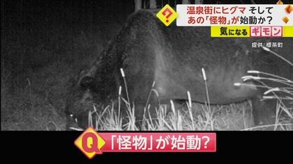 【あの怪物始動か】牧場で倒れている生後14カ月の乳牛を発見　”4年”で牛65頭襲った「OSO18」か　北海道標茶町