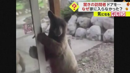 「1歳くらいは好奇心旺盛な時期」家の玄関を開けるクマ　人間のようにドアノブ握り…住人が窓を叩くと退散　米・コロラド州