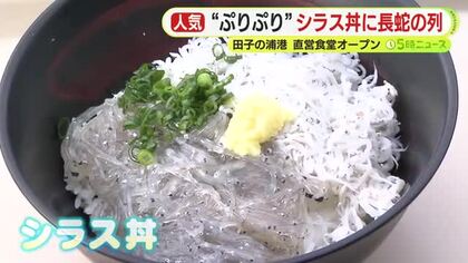 “ぷりぷり”シラス丼に長蛇の列　田子の浦港直営食堂の営業始まる　3月に漁解禁　初日の水揚げ量は前年の約7倍と好スタート