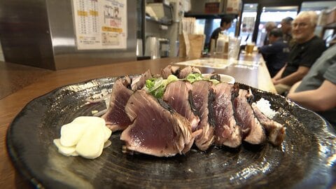 中東情勢悪化の影響も　カツオ異例の高騰　春の味「初鰹」ピンチ　千葉からの入荷も減で旬に“逆風”