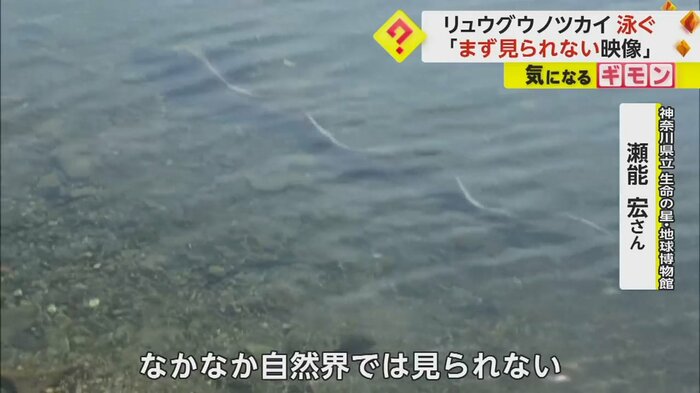 (FNN投稿サイト「ビデオPost」)