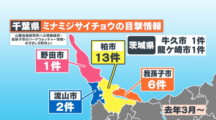 千葉県での目撃分布
