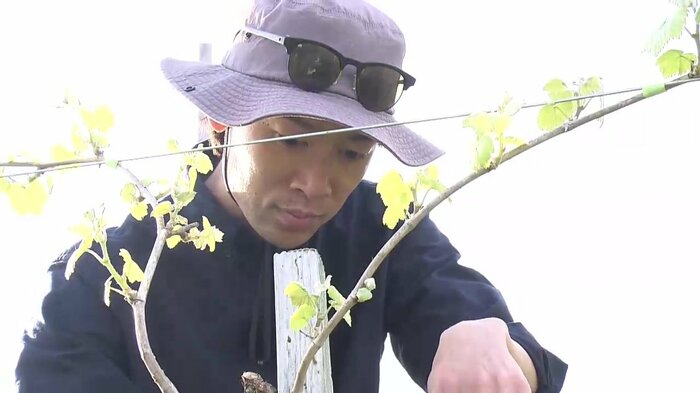 陸前高田市出身の及川恭平さん（33）