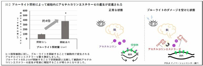 (画像提供:ポーラ)