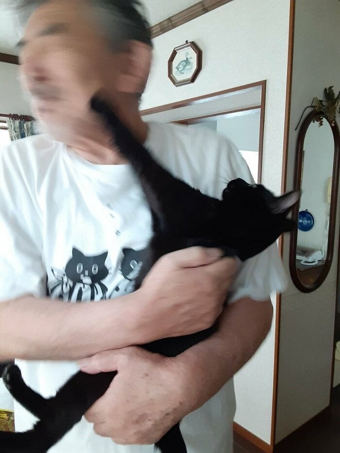 手を出してくるのはしょっちゅうというルルちゃん