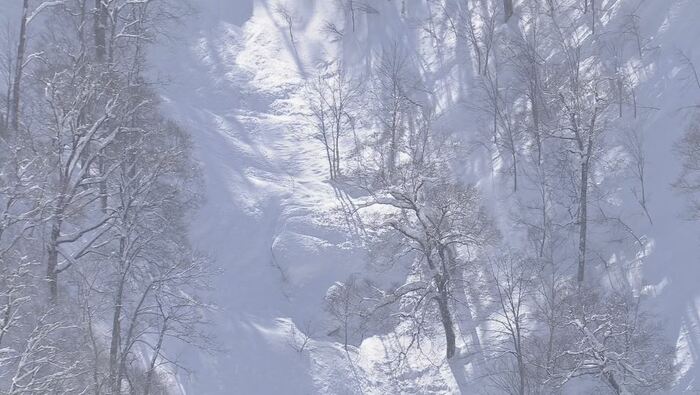 雪崩とみられる跡