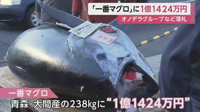 注目の一番マグロは1億1424万円で競り落とされた