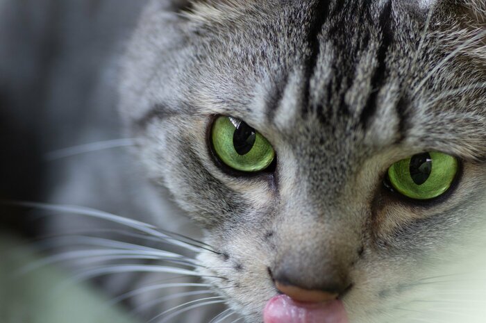 グリーンは銅色と青色の中間色（画像はイメージ）