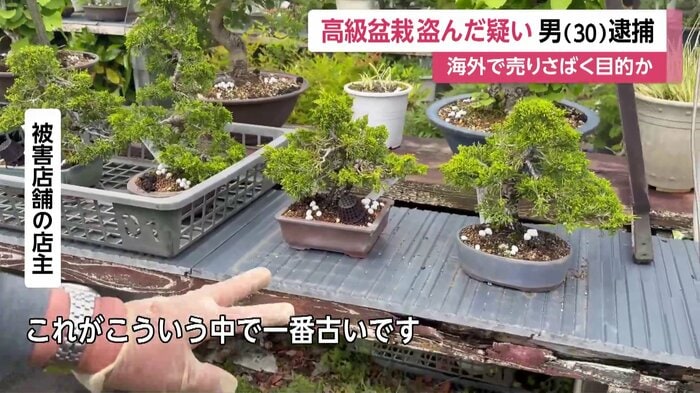 中には10万円以上の高級品も被害に遭ったという