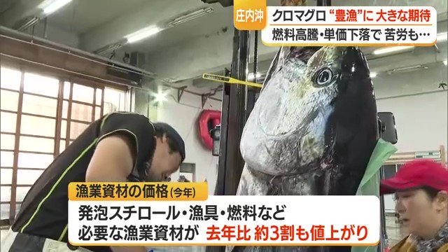獲りに行くには燃料が必要で、獲れれば獲れるほど発泡スチロールなど資材も必要になる
