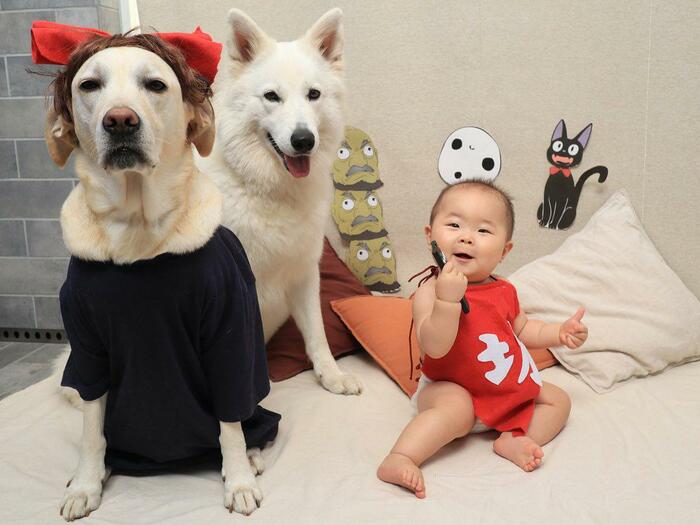 最近撮影した、左から先住犬のつくしちゃん、すずらんちゃん、ヨリちゃん(提供:つくしとすずらんさん)