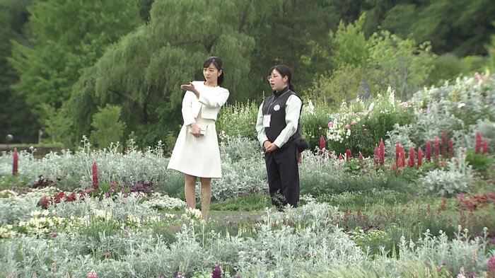 200品種の花々を使った花壇を視察