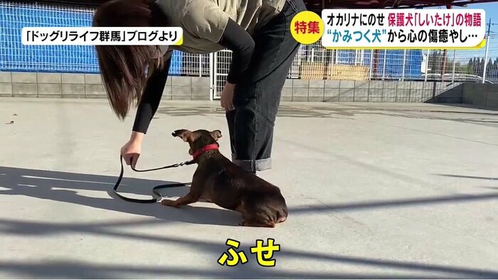 人と暮らすための訓練
