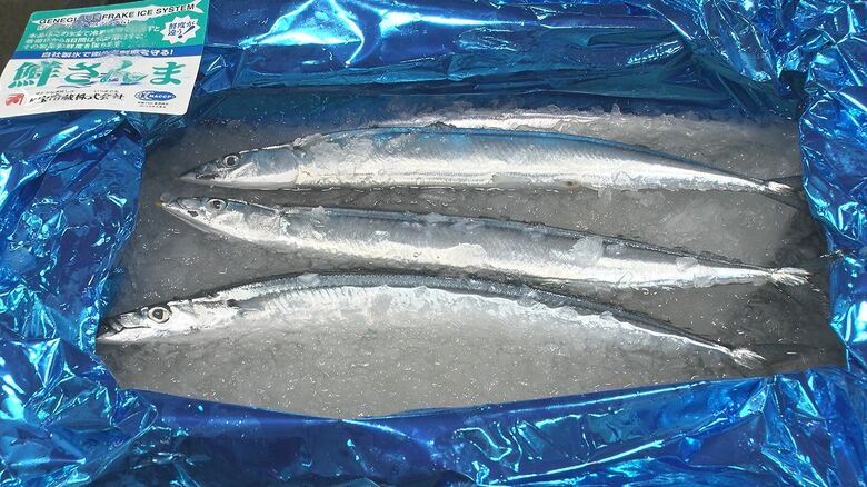 秋の味覚“サンマ”の入荷始まる！おいしいサンマの見分け方は…“目”と“くちばし”に注目「旬のサンマで残暑乗り切って」新潟｜FNNプライムオンライン