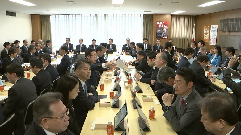 自民、米関税措置で自動車業界からヒアリング　中小企業の資金繰り支援など要望｜FNNプライムオンライン