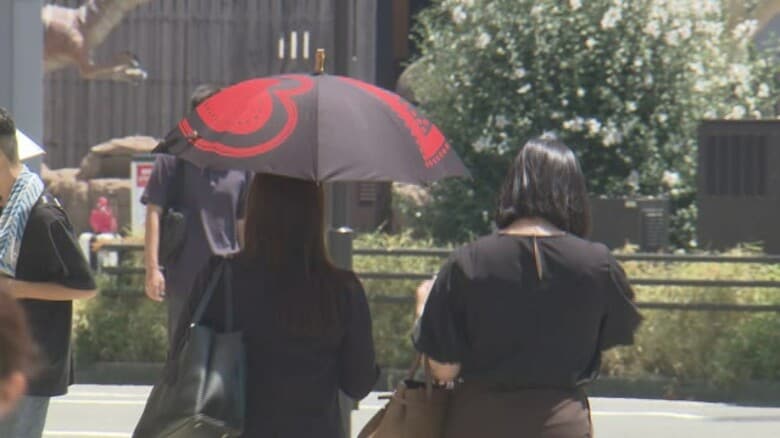 福井市で7月の猛暑日が17日に　1942年に並ぶ“過去最多タイ”　県内5地点で35度超え　熱中症疑いで5人搬送｜FNNプライムオンライン