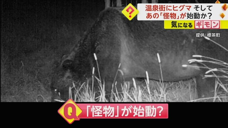 【あの怪物始動か】牧場で倒れている生後14カ月の乳牛を発見　”4年”で牛65頭襲った「OSO18」か　北海道標茶町｜FNNプライムオンライン