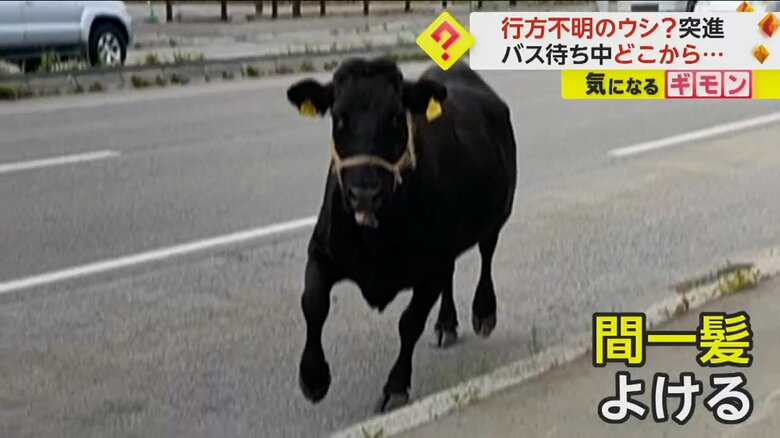 (FNN投稿サイト「ビデオPost」)