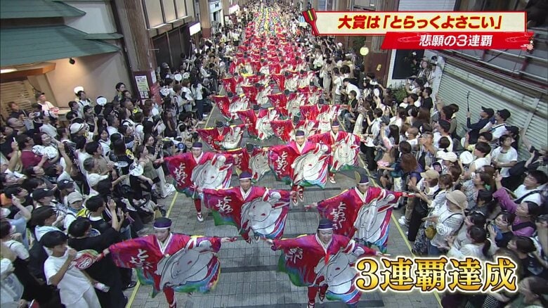 ウサギの絵柄が入った「とらっくよさこい」の衣装