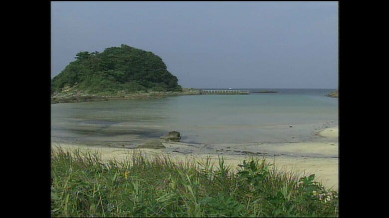 須崎御用邸に隣接する三井浜（静岡・下田市）