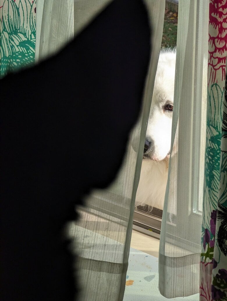 目が合っている？