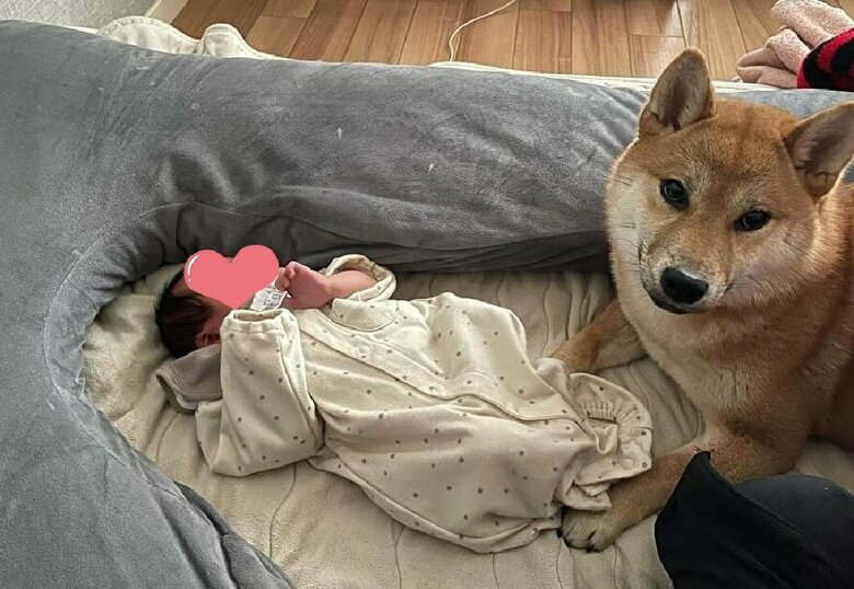 娘さんとむぎちゃん