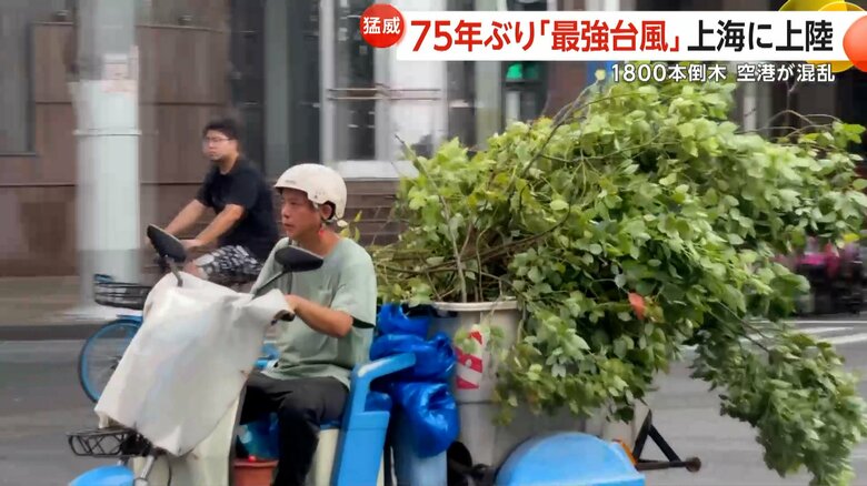 木をバイクで運ぶ人