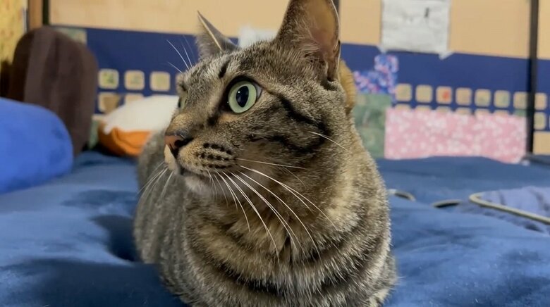 雷におびえる空くん