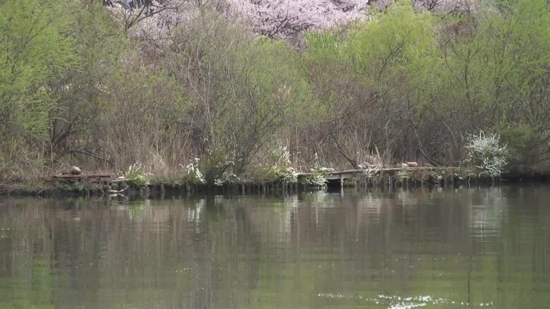 設置されていた釣り用の台座