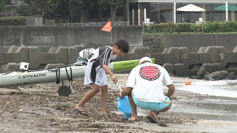 海際のゴミを拾うスタッフら