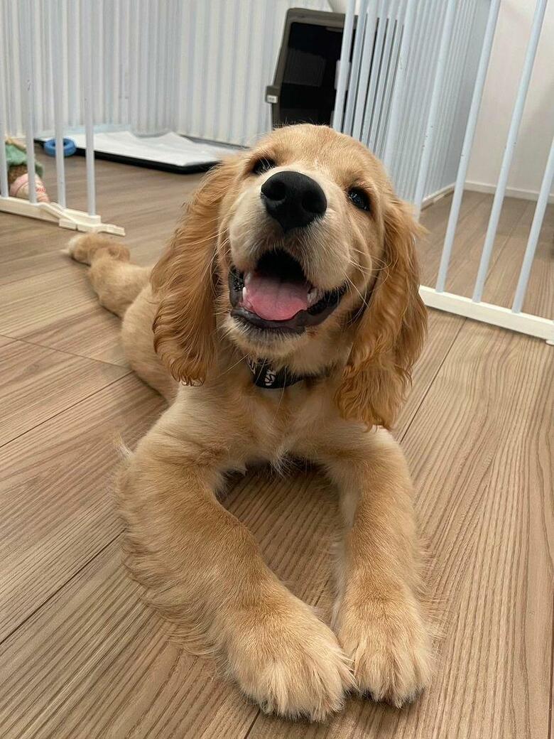 提供：関口和也さん