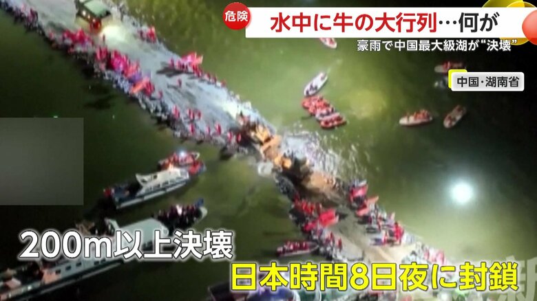 200メートル以上に及んだ｢洞庭湖」の堤防の決壊