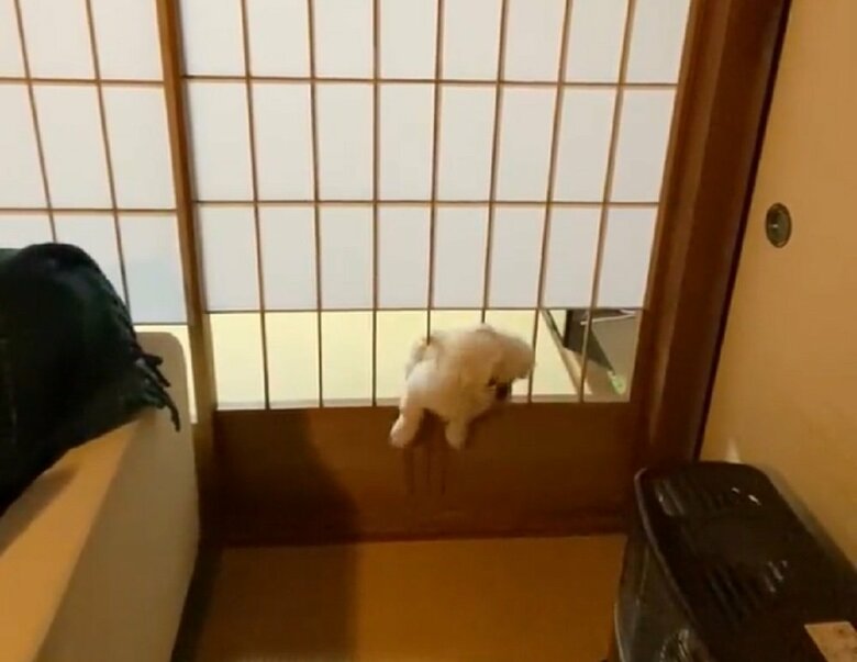 上半身は無事通過