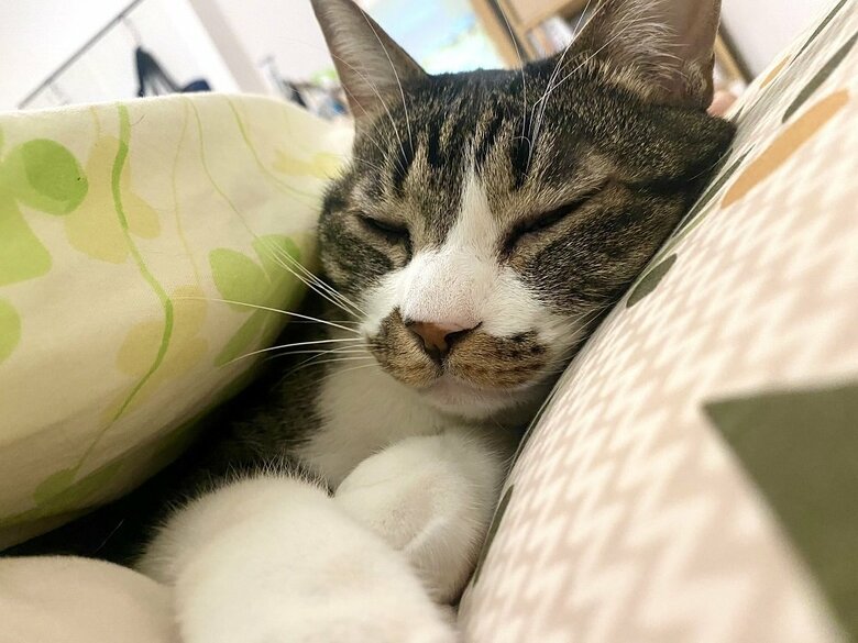 お布団の中で…