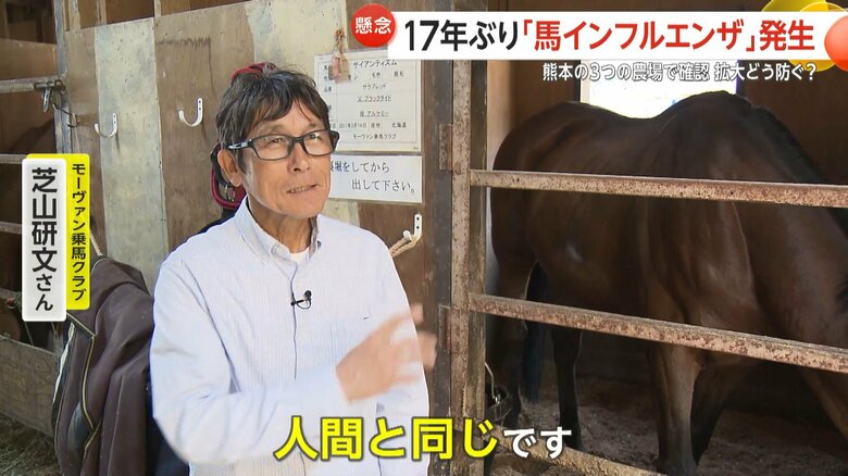馬インフルエンザの症状は人間と同じだという