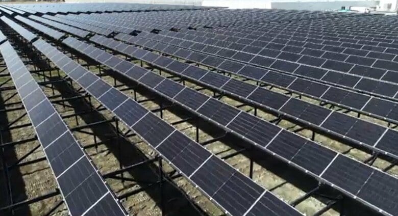 舞台ファームの営農型太陽光発電