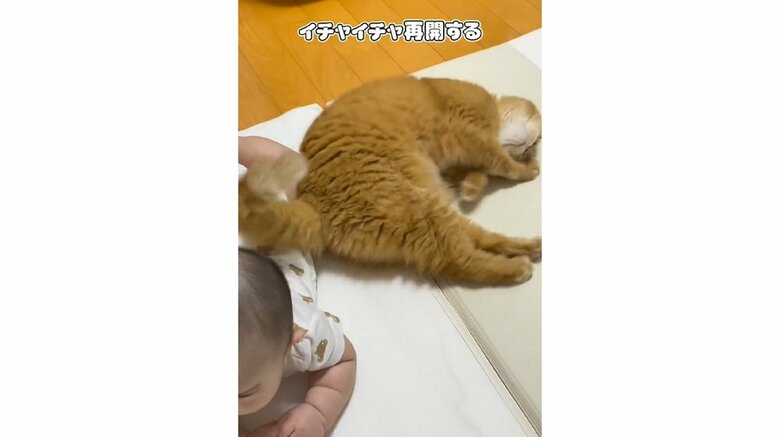 安心したこまるくんは息子さんの隣でリラックス