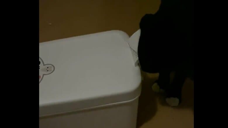 エサの箱を器用に開けるハルくん