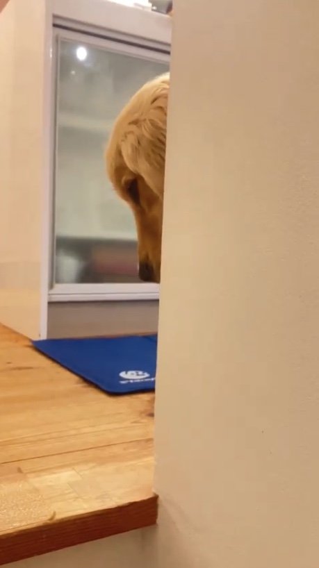 提供：エマさん