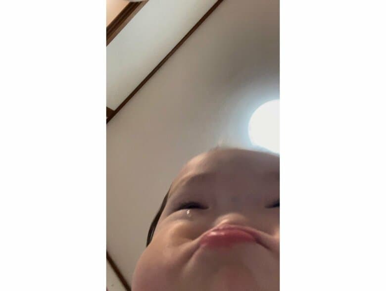 提供：ののさん