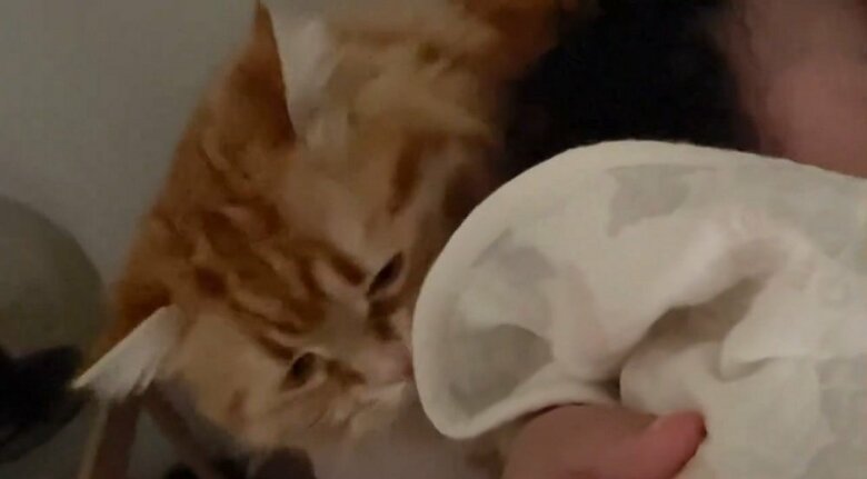 娘さんを寝かしつけ中　自分も甘えたいとやってきた