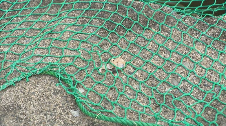 池の周りには残骸が…