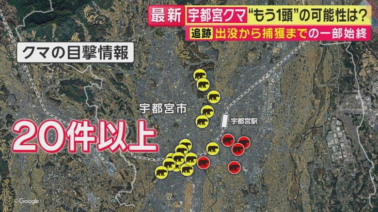 目撃情報をこまめにチェックしてほしい（関西テレビ「旬感LIVE とれたてっ！」より）